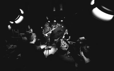 Will Alexander Showcase Fuzekin