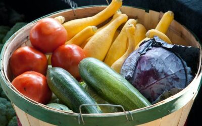 Précarité alimentaire étudiante : tous concernés !